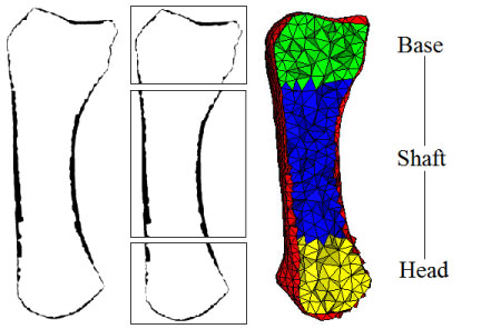 fig3