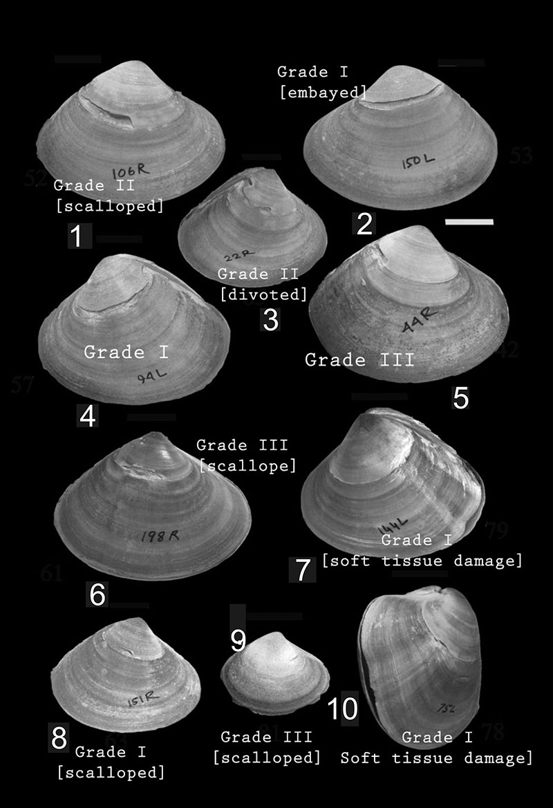 figure3