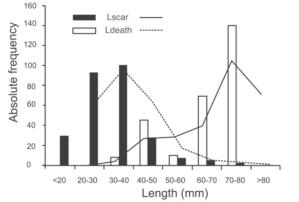 figure5