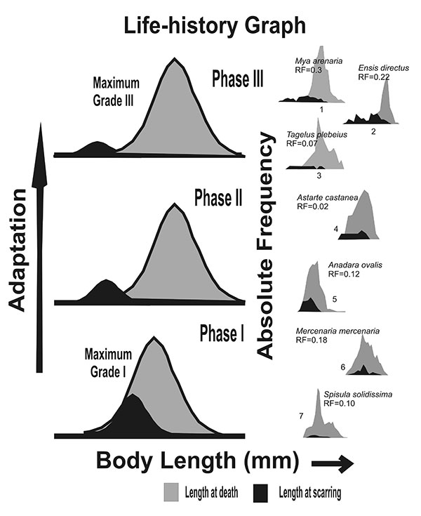 figure7