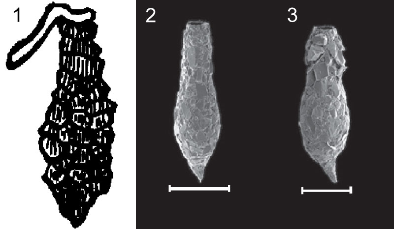 figure1