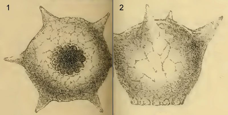 figure2