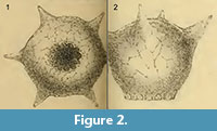 s figure2