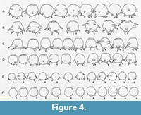 s figure4