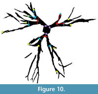 s figure10