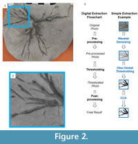 s figure2