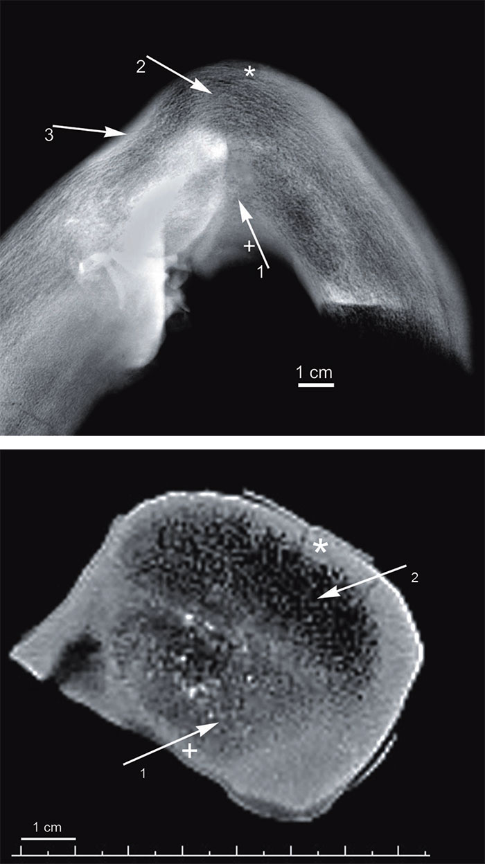 figure2