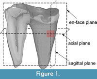 s figure1