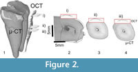 s figure2