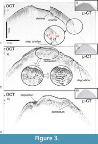 s figure3