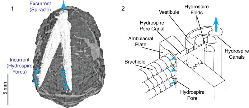 figure1