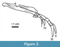 s figure 2