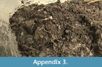 s appendix 3