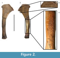 s figure 2