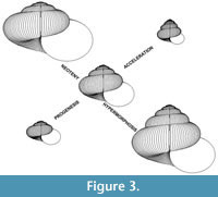 s figure3