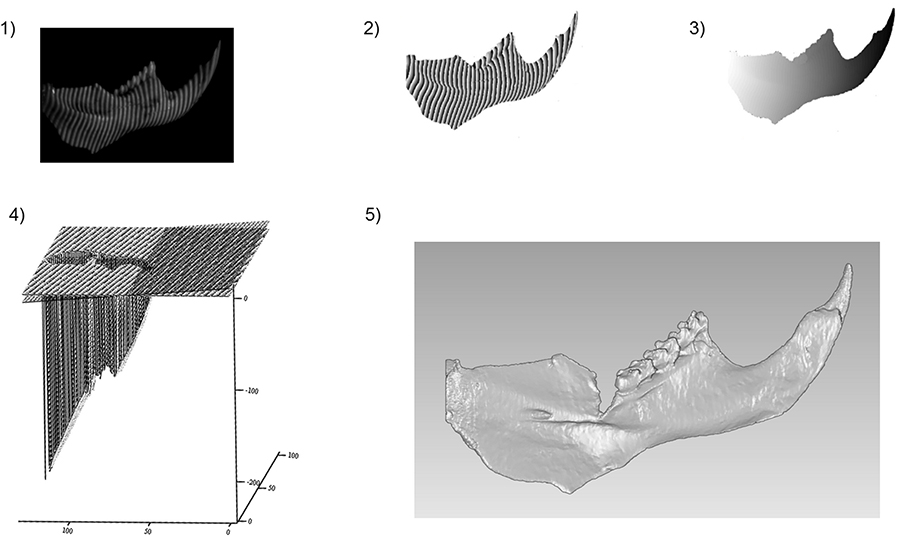 figure4