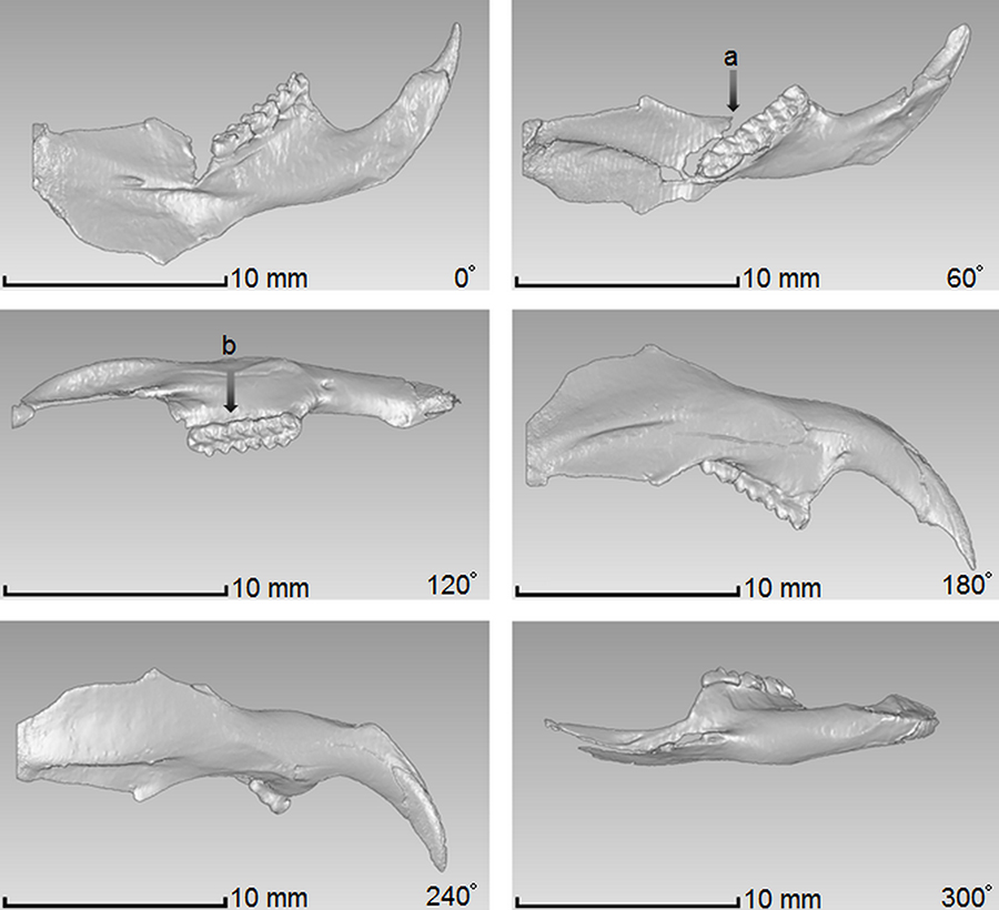 figure5