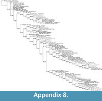 s appendix 8