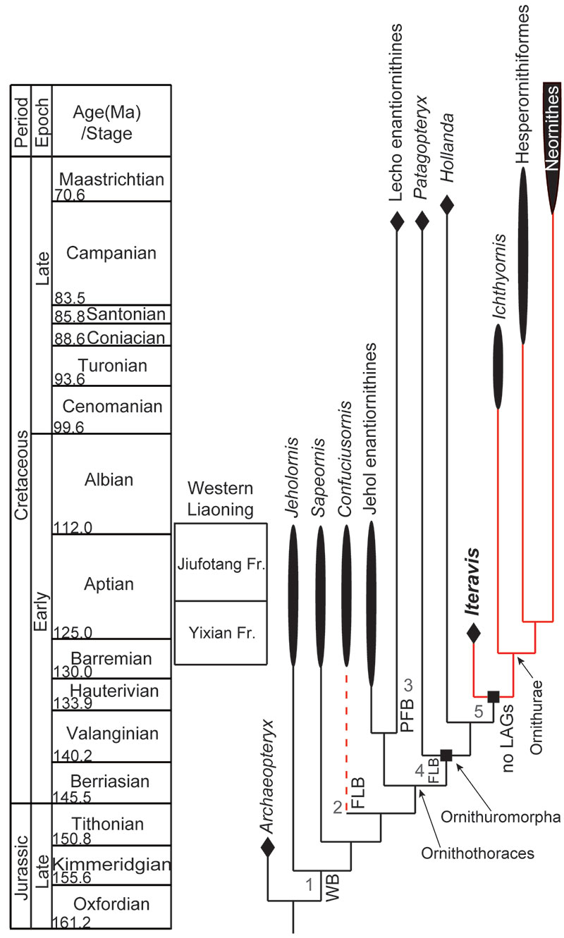 figure1