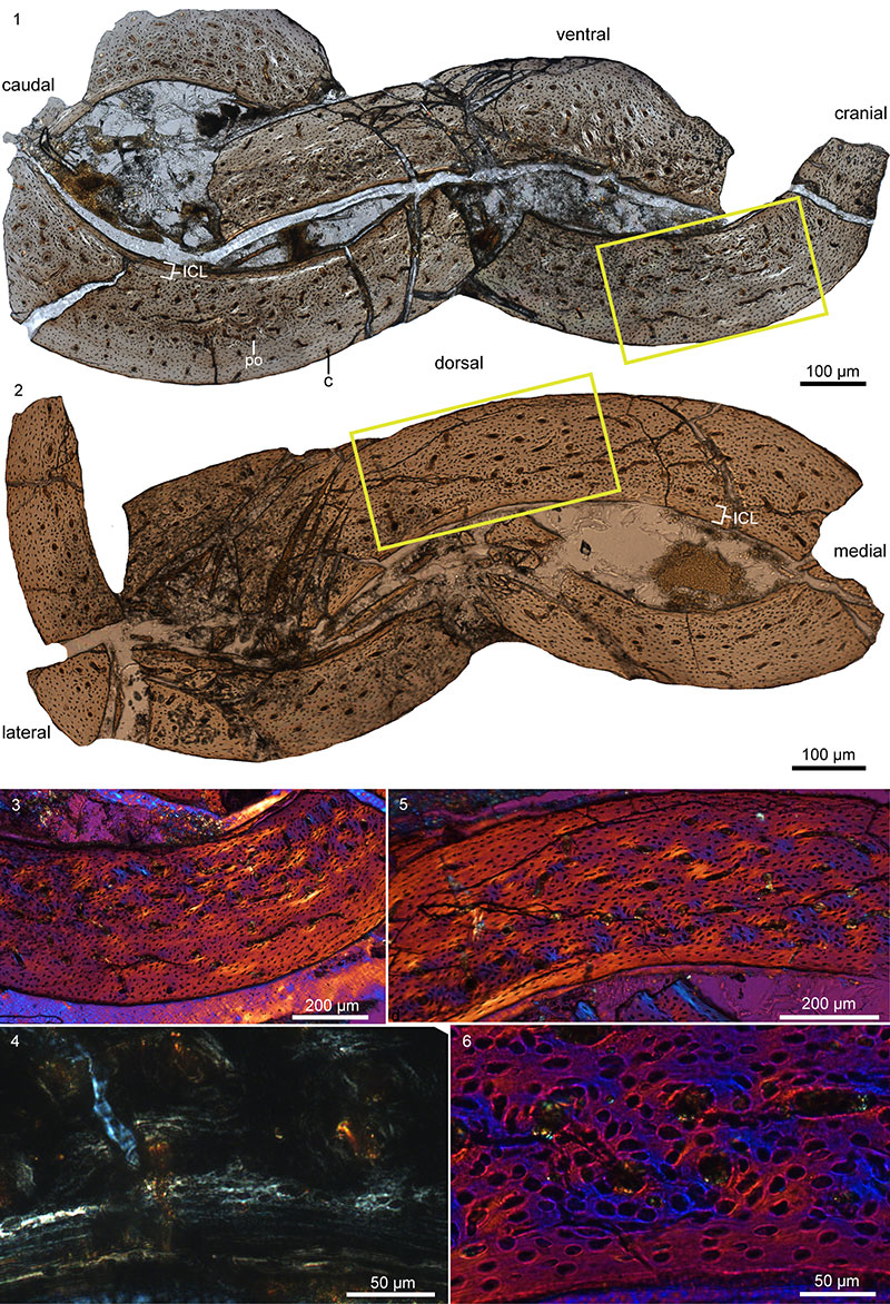 figure3