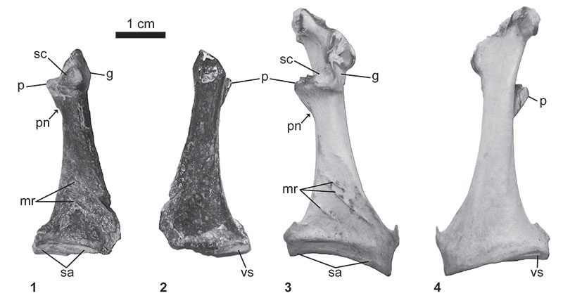 figure1