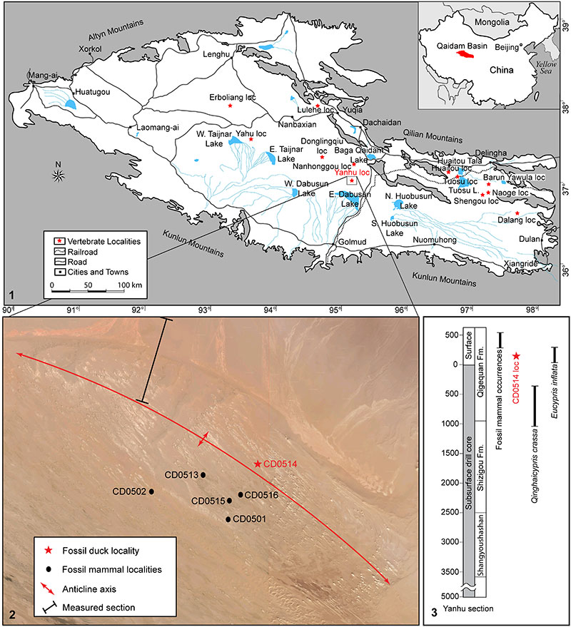 figure2