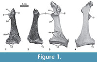 s figure1