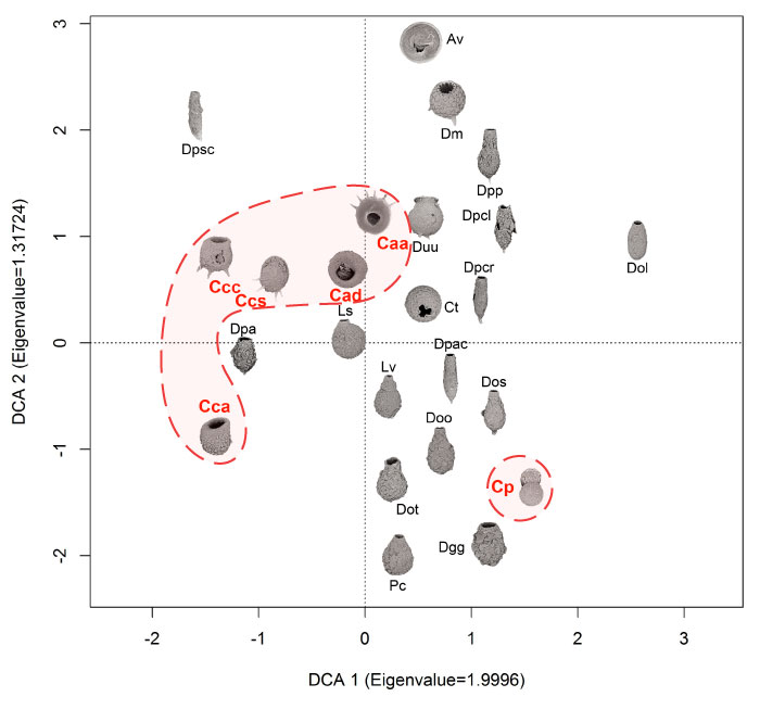 figure5