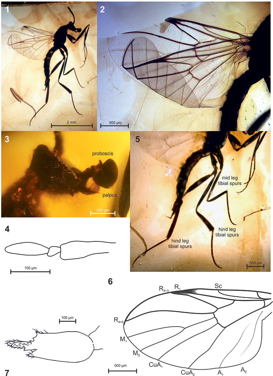 figure2