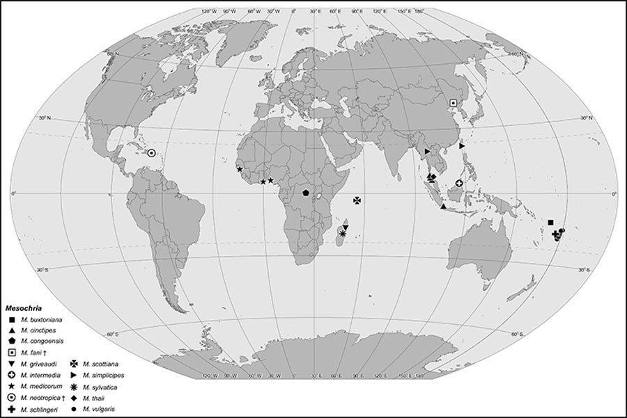 figure3