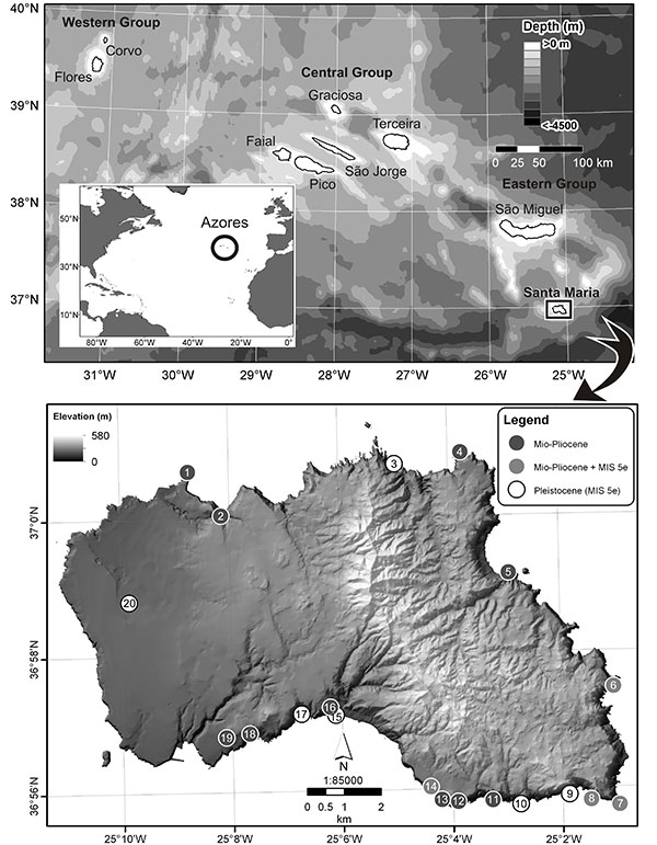 figure1