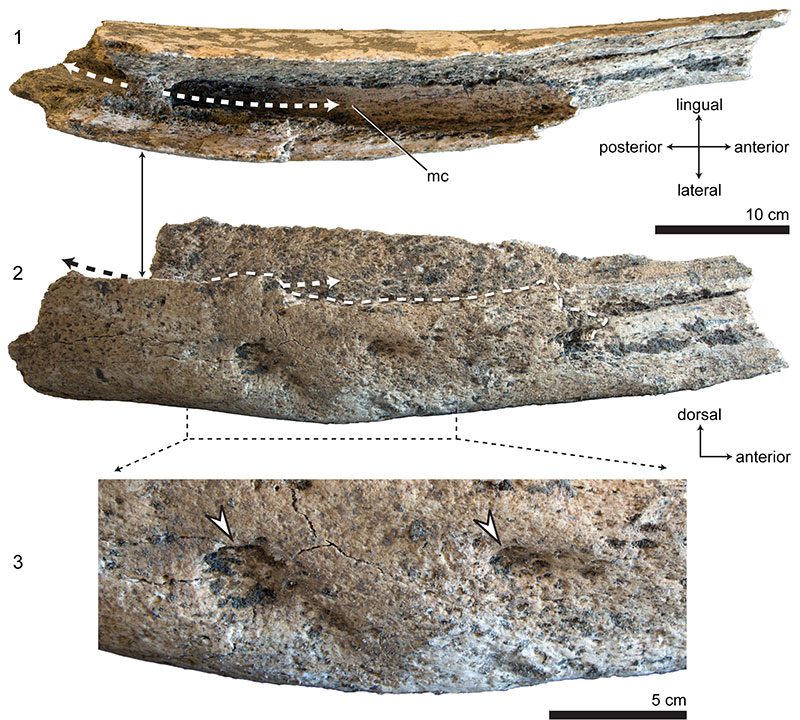 figure2