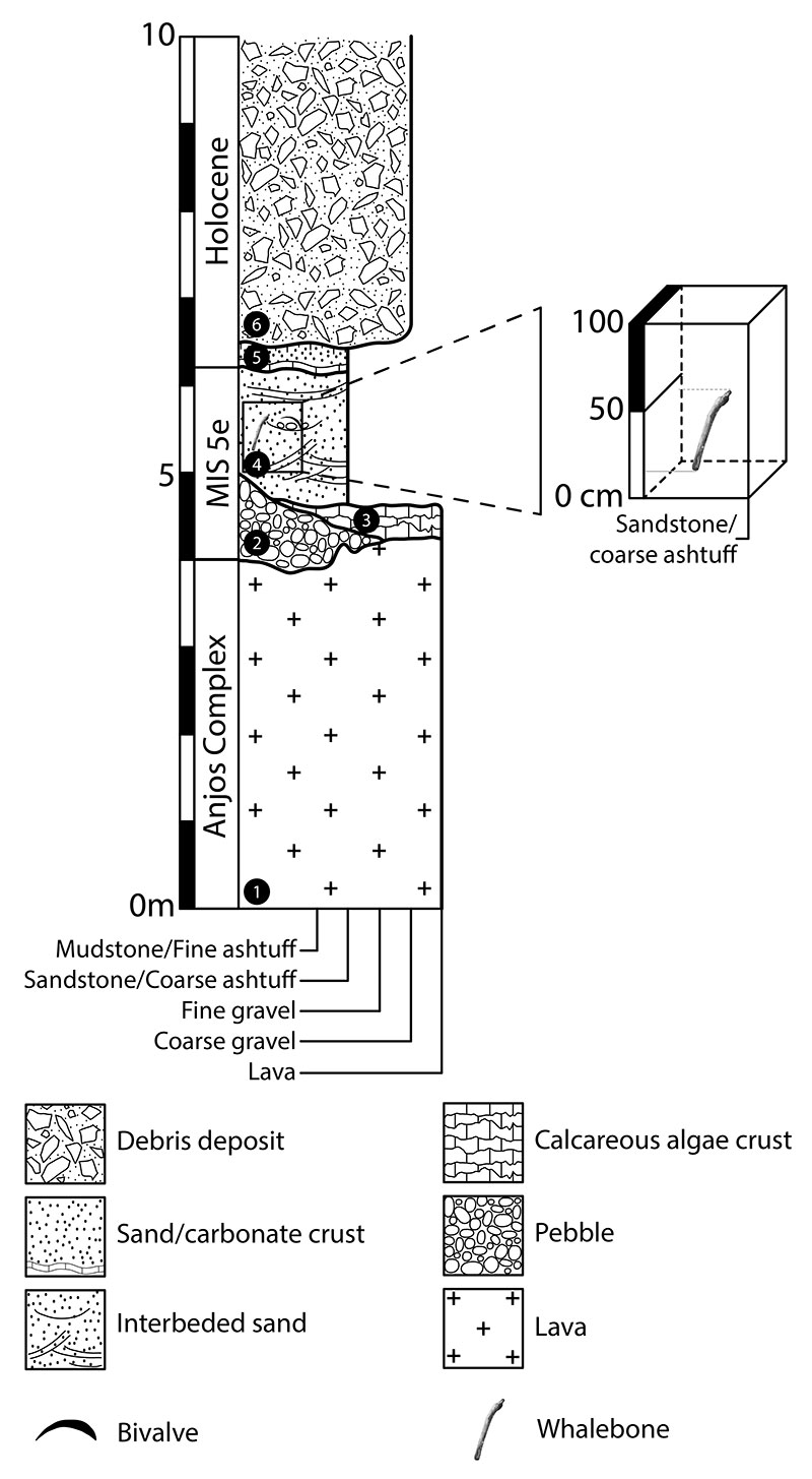 figure3