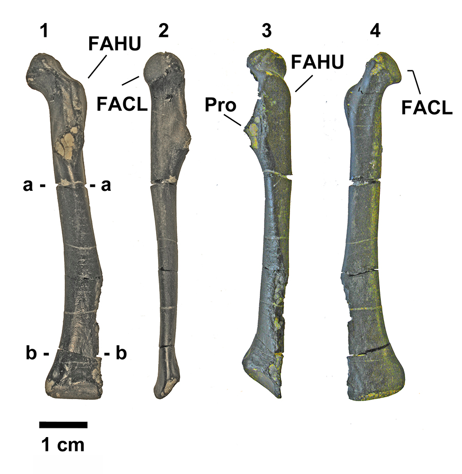 figure1