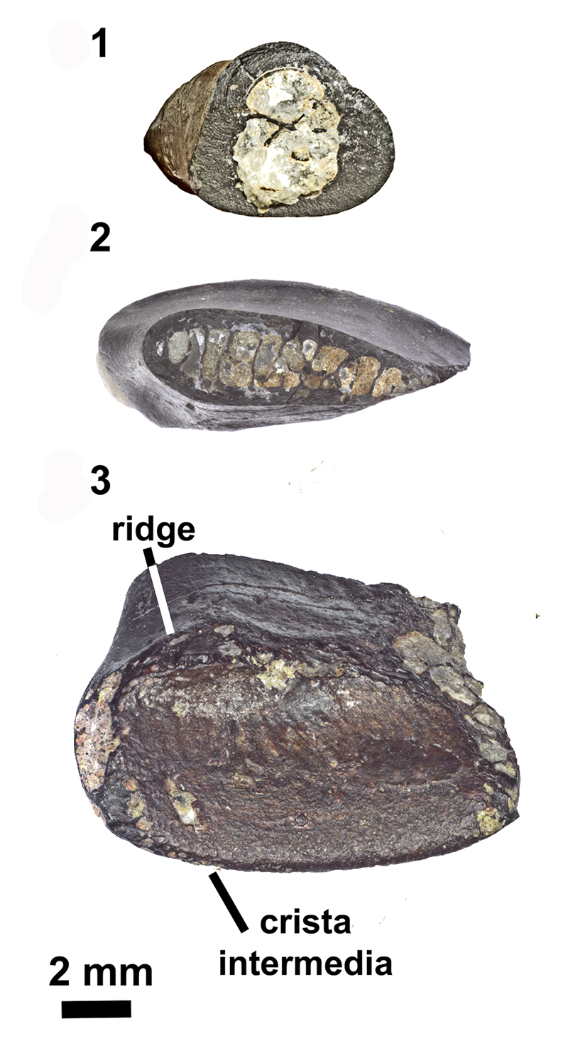 figure2