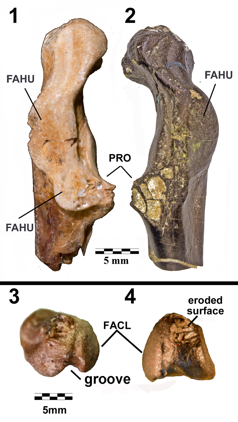 figure3