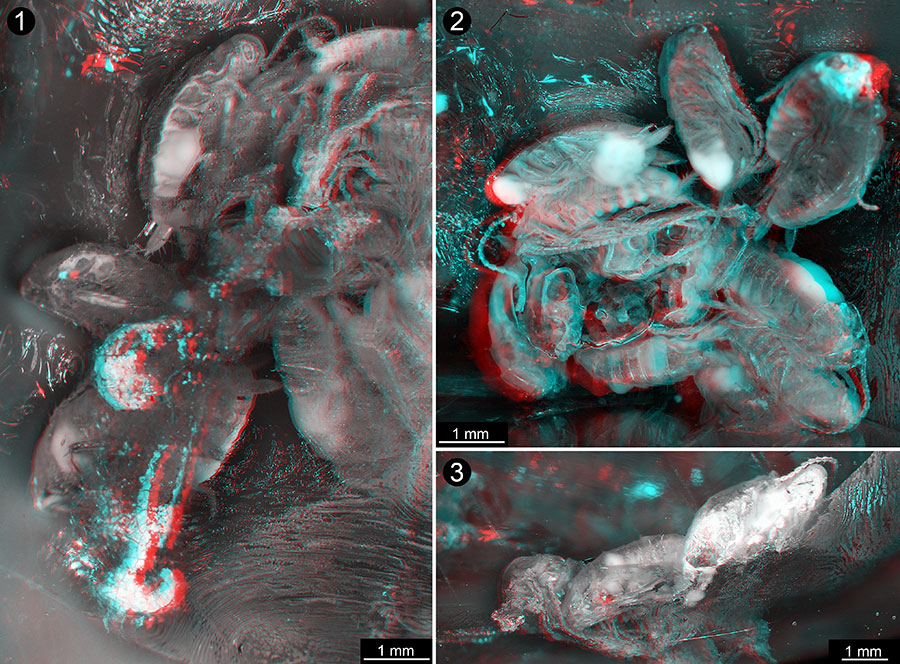 figure3