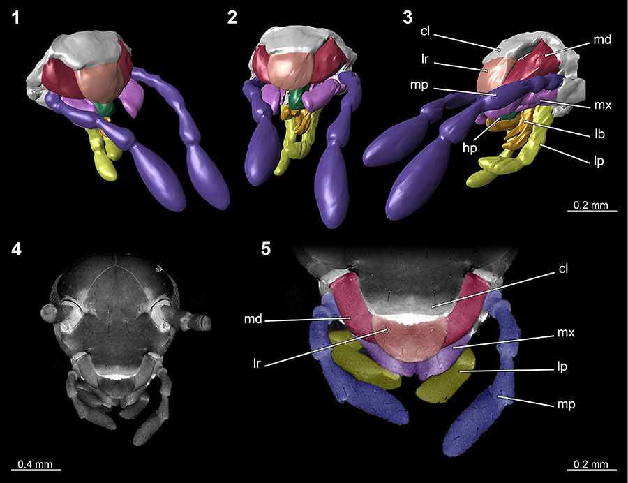 figure7