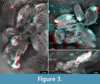 s figure3