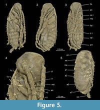 s figure5