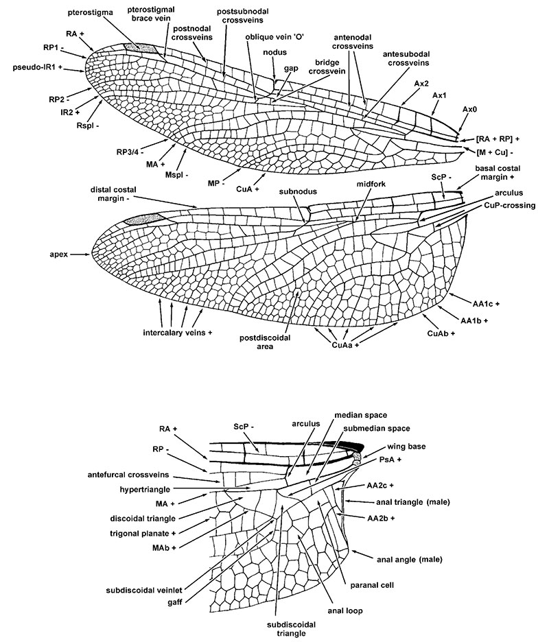 figure1