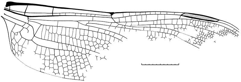 figure2