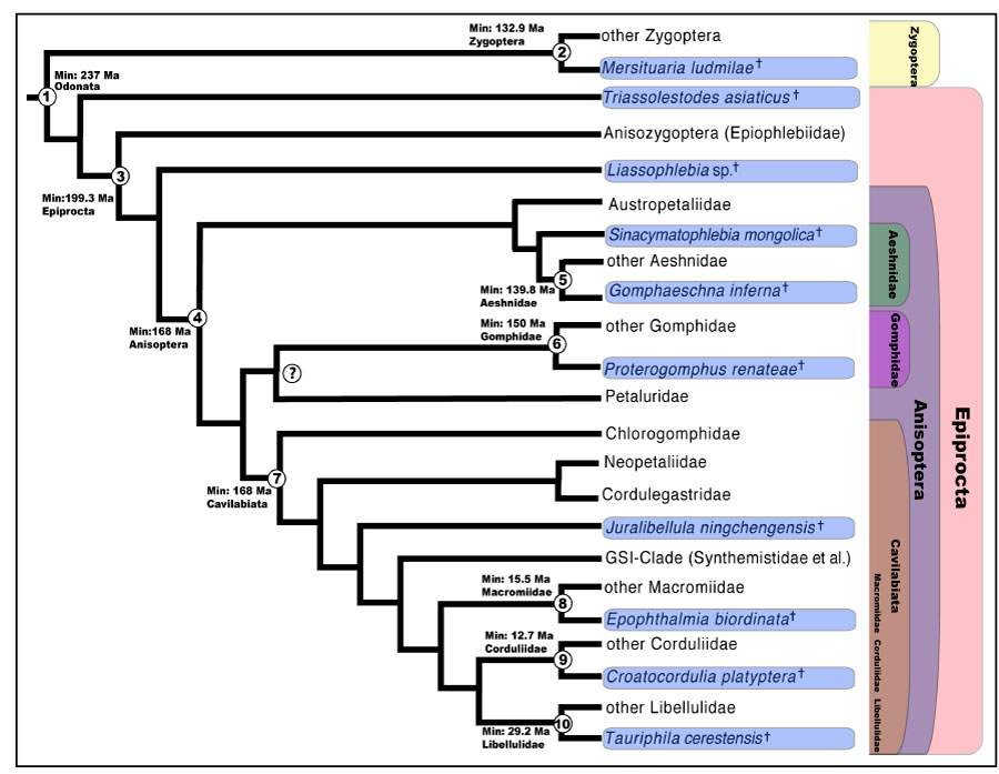 figure3a