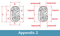 s appendix2