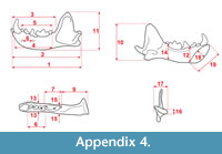 s appendix4