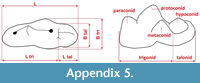 s appendix5