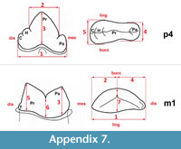 s appendix7