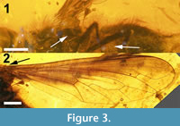 s figure3