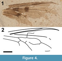 s figure4