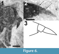 s figure6